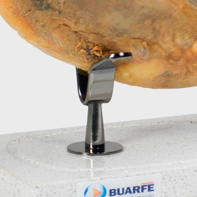 Sistemas de sujeción de jamoneros BUARFE